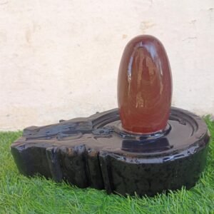 janeu dhari narmadeshwar shivling