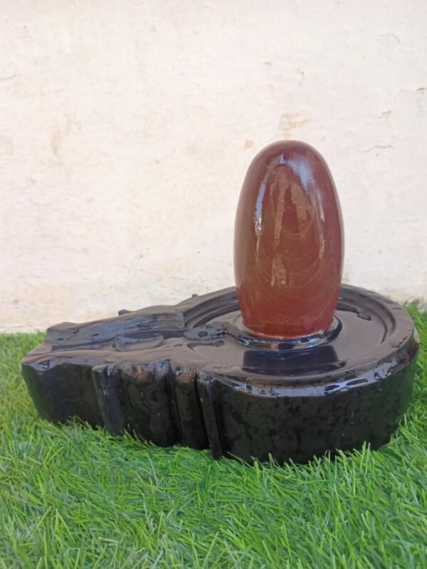 janeu dhari narmadeshwar shivling