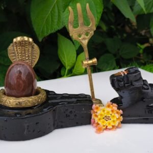 narmada shivling