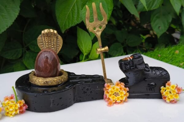 narmada shivling