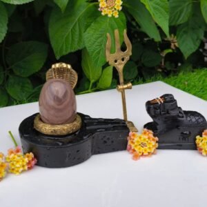 narmadeshwar shivling for home puja