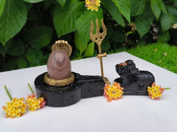 narmadeshwar shivling for home puja