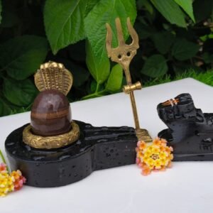 janeu dhari narmadeshwar shivling