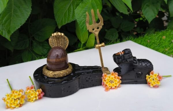 janeu dhari narmadeshwar shivling